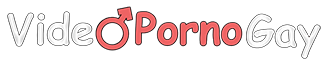  Logo videopornogay.xxx